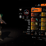 Assault Rifle PvE Build
